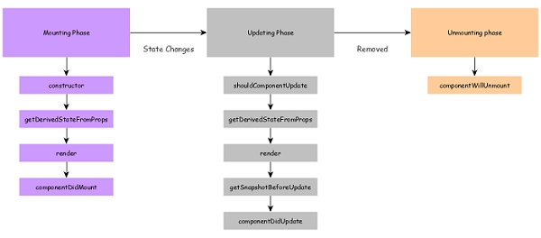 Life Cycle